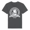 Rocker the essential unisex t-shirt (STTU758) Thumbnail